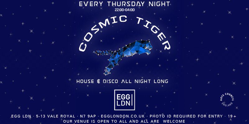 Read more about the article Cosmic Tiger at EGG LDN